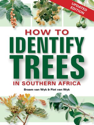 cover image of How to Identify Trees in Southern Africa